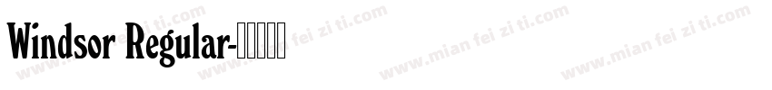 Windsor Regular字体转换